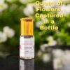 Best Floral Oil Perfume